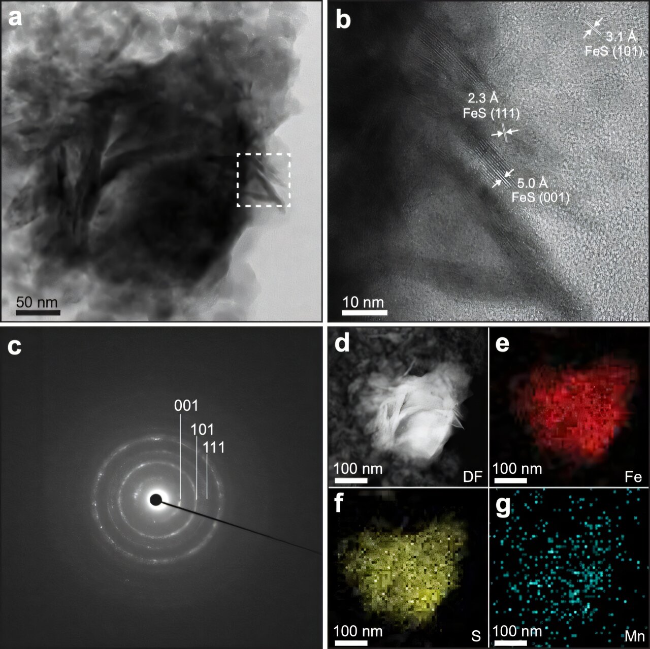 Iron Sulfides May Have Played a Key Role in Life’s Origins in Terrestrial Hot Springs